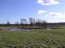 Hell’s Kettles near Darlington